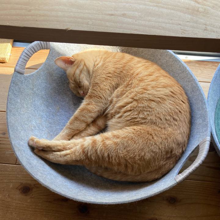 767b86a2 9f73 4d08 9b7d 71c24a9fae38 1657417642949