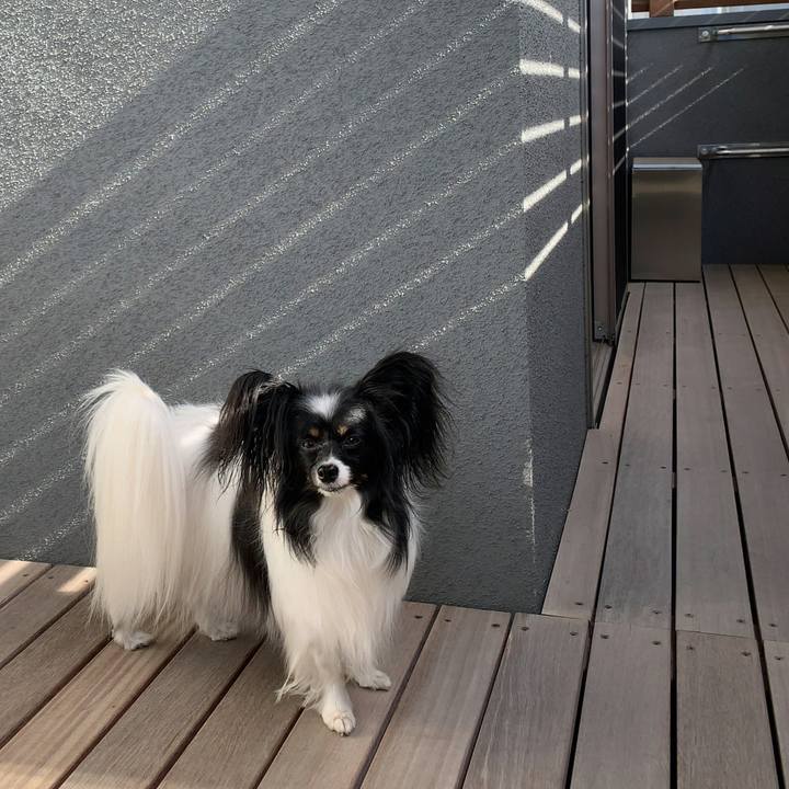 767b9cf0 8a54 4f46 9d9b 6127d4c8dae2 1548473887201