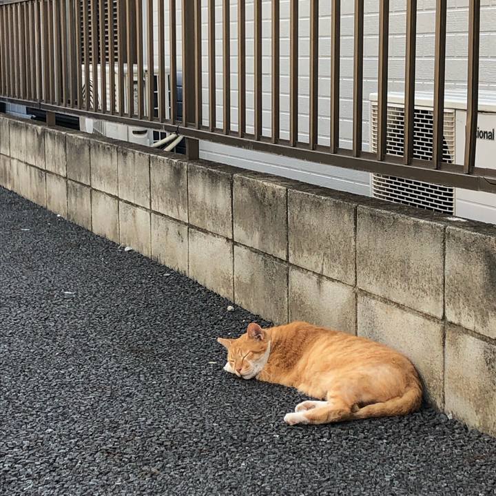 767bc25a 8467 4378 aa53 08ef5fac930d 1570460008659