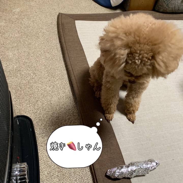 767bd652 c8cb 46e4 a1d3 1cde2101e366 1542965328239