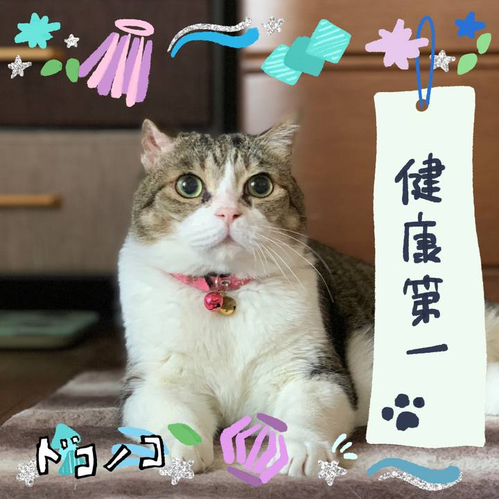 767bd700 f051 4ec8 9cea 5e6ae9bb37c4 1721348129383