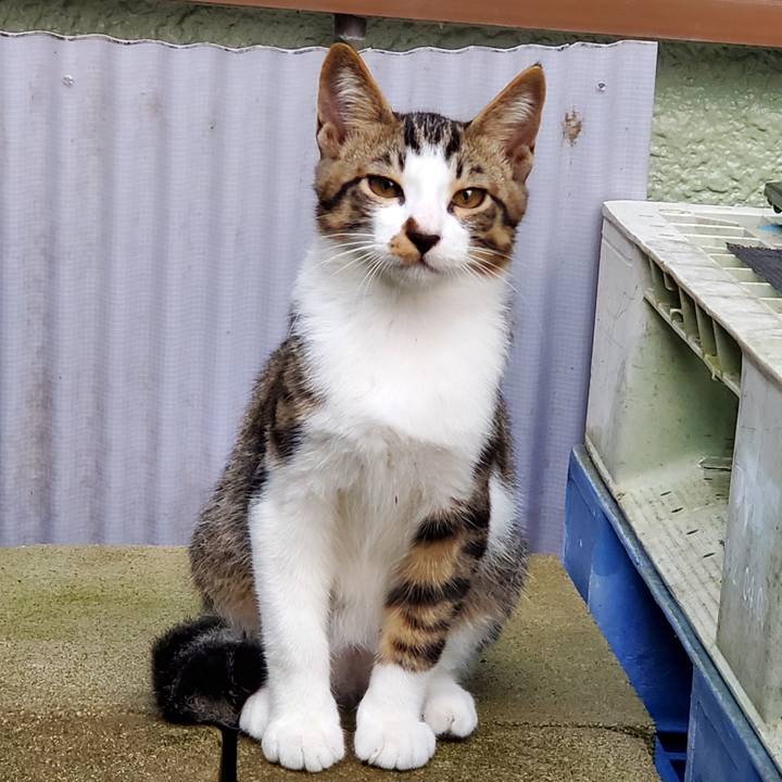 767be162 cfbe 4381 8f2b e4372190517b 1729190407015