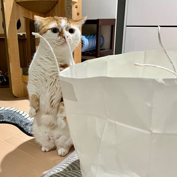 767bf380 98b9 4ba6 b608 bc092973406e 1758081719086