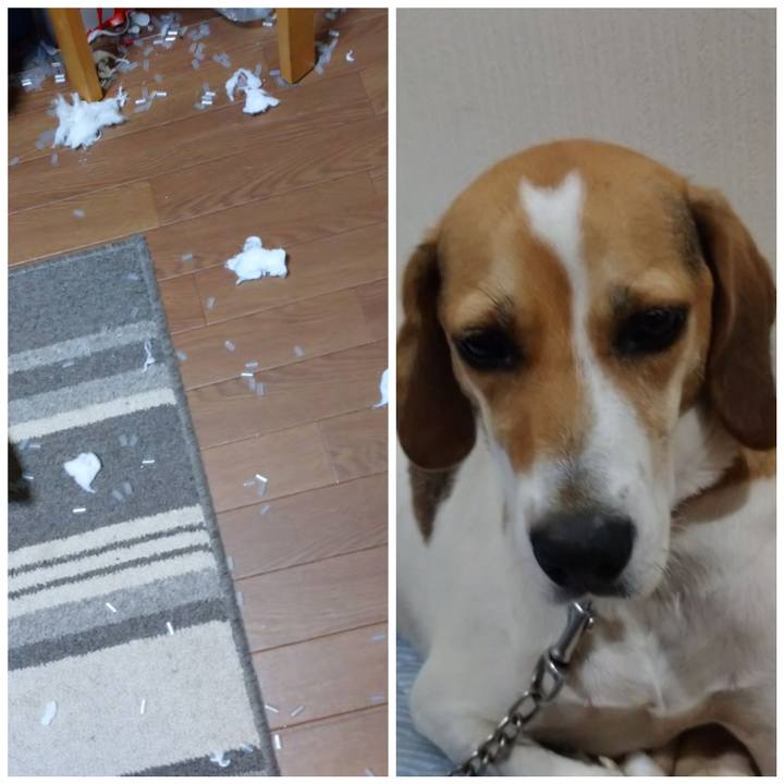 767c1f56 d7b0 4e58 a190 d7b748806602 1601294508527