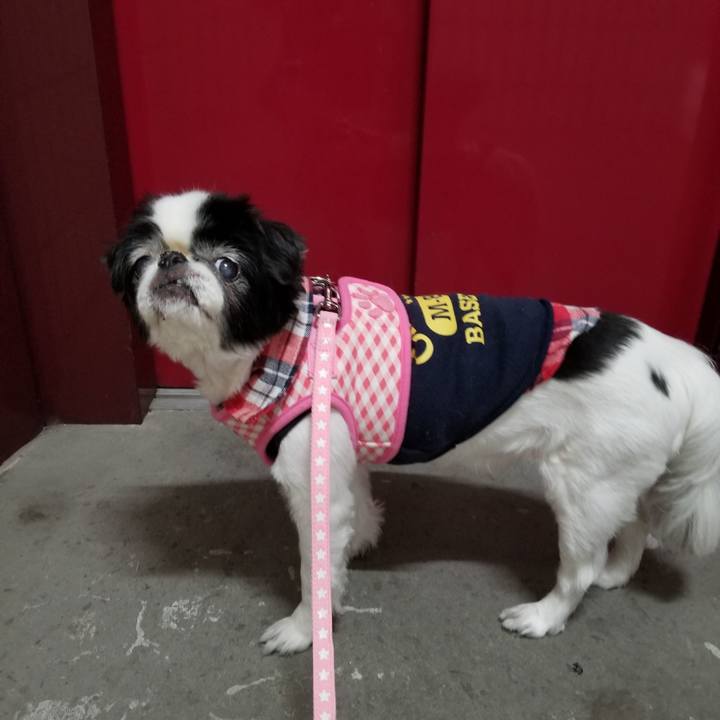 767c42fa 2063 4d96 8e59 d4c8b0b416a5 1576751511740