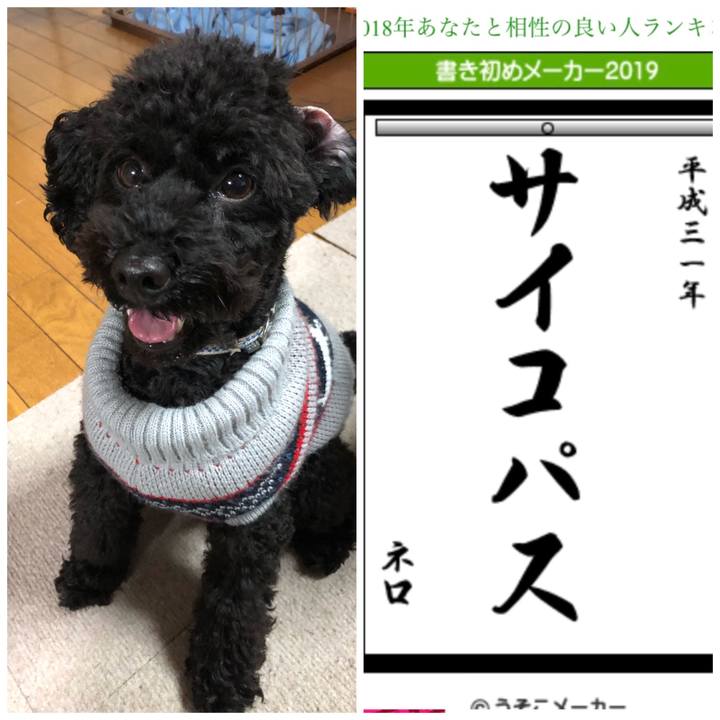 767c6647 a8fa 48c8 a532 dc39c2d08b18 1546438594407