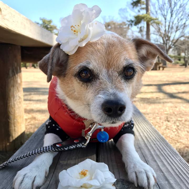 767c67ce e4f7 40af 89e5 2060ed8319a4 1613709007927