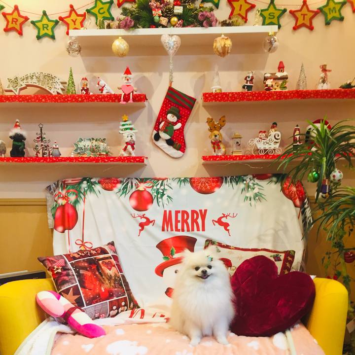 767c7309 f3ba 4641 94ca cacfe6144fca 1575891903237