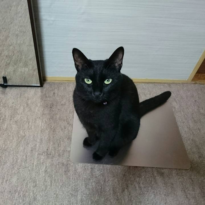 767c7bf9 6300 4156 b346 f8a88ba66612 1535380912716