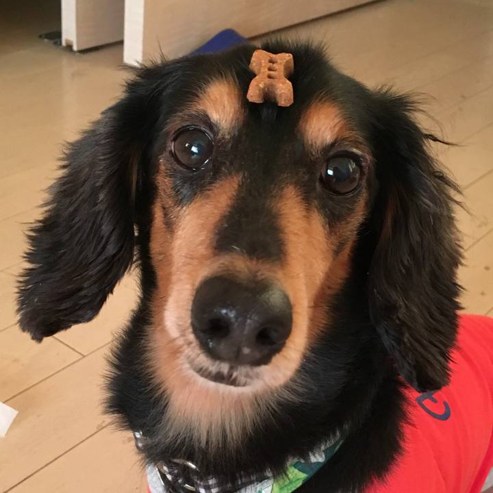 767c85e8 528c 4e24 bff5 f7f6f0562df3 1512198206943