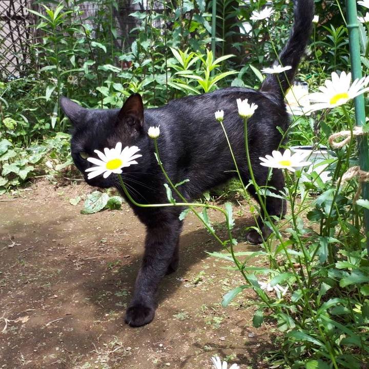 767cd414 becd 4867 be3a 83ee286ecbd8 1654682380302