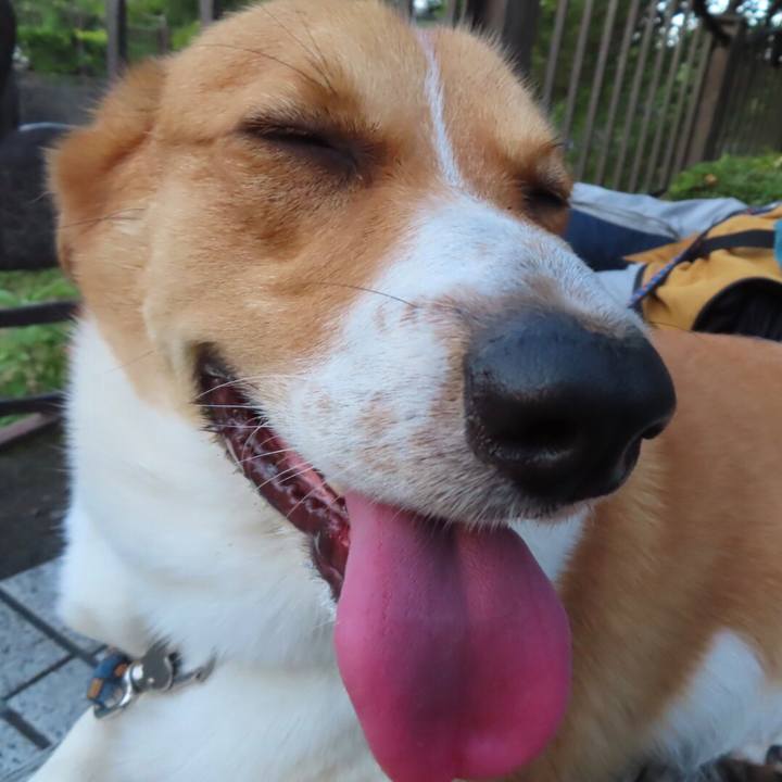 767ce895 f94a 4b66 a78c 6e2d1dcab07f 1629767082487