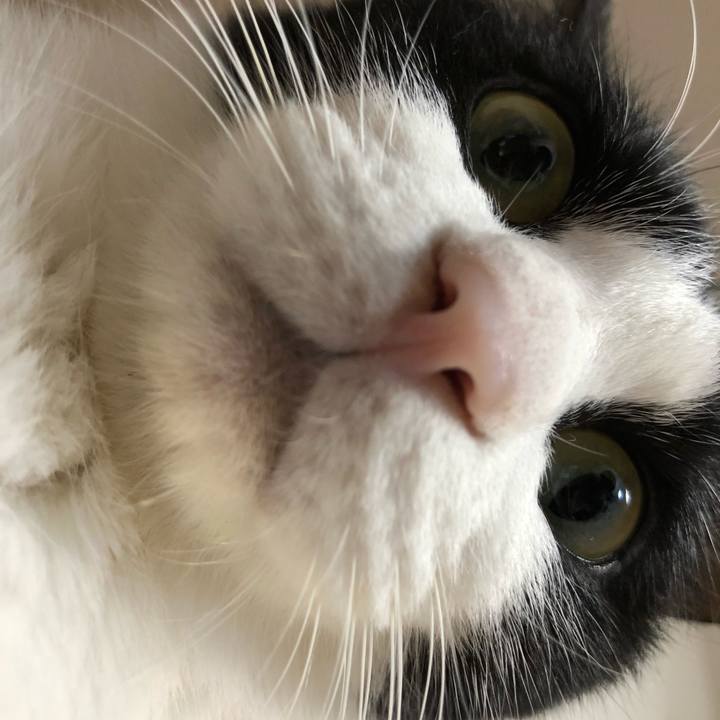 767cec72 2a69 4a30 bc11 791b87a52ba4 1521178642780