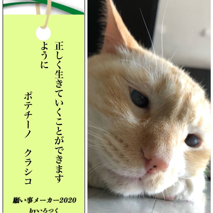 767cf1bd 5fbc 49cb 8730 15a0219eea3c 1594082640828