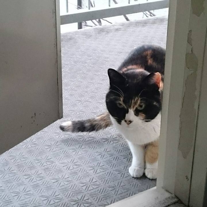 767cfddc 1b2c 4673 8a1d 5fd827615167 1518751606222