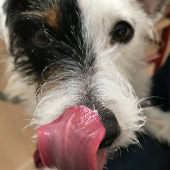 767d02a7 fa34 413b aee0 ff0709aeb621 1519340311319