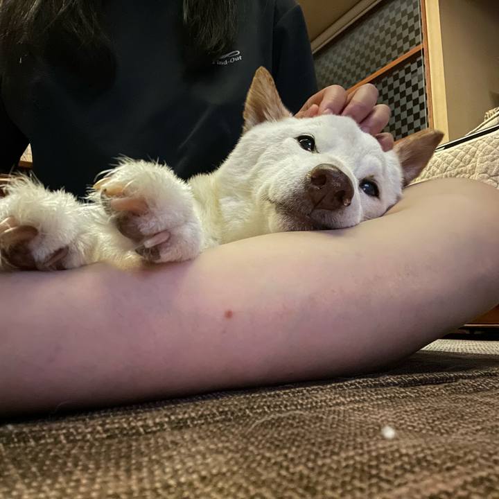 767d1269 b95f 40d3 a605 0a1bae48b3ea 1659713337651