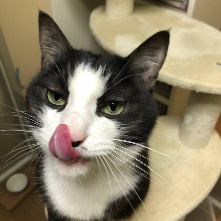 767d163a fe32 43ee 87bb 87a51d12cd85 1582096448391