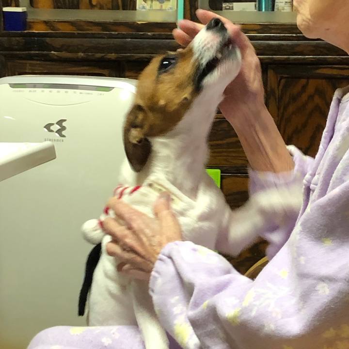 767d1bbe 3057 47d1 8062 ee500be9735a 1544584577241