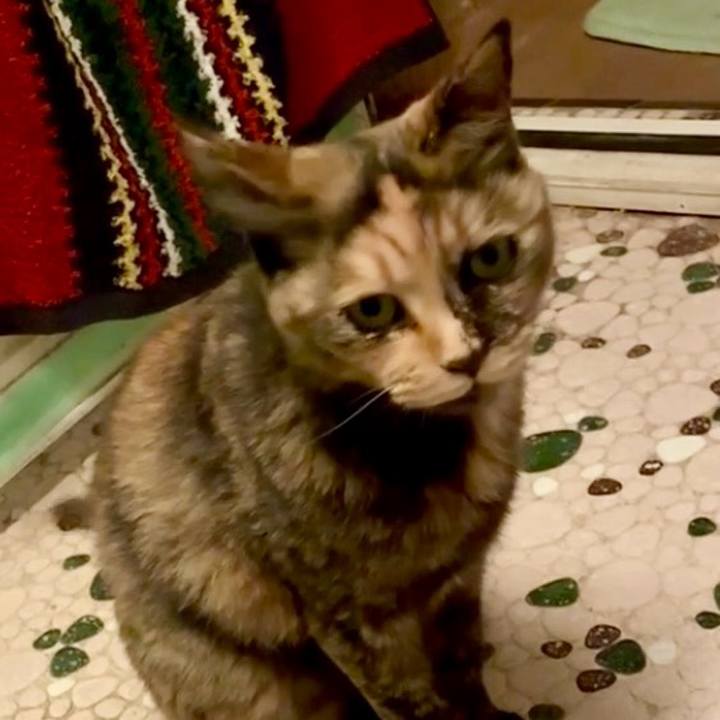 767d560c afbb 4302 a61b 0600f9259574 1749241036974