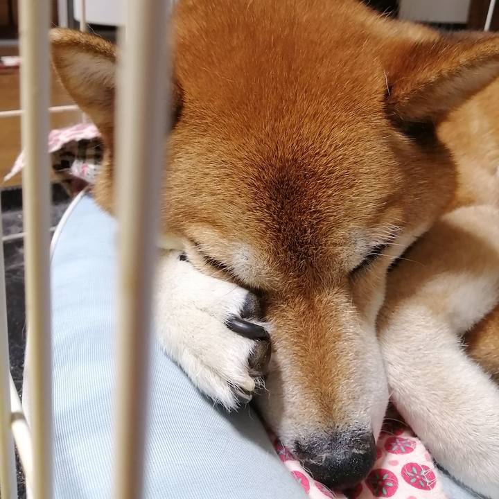 767d64c0 d681 49b3 bcbb 219f29e01b9d 1659190227148