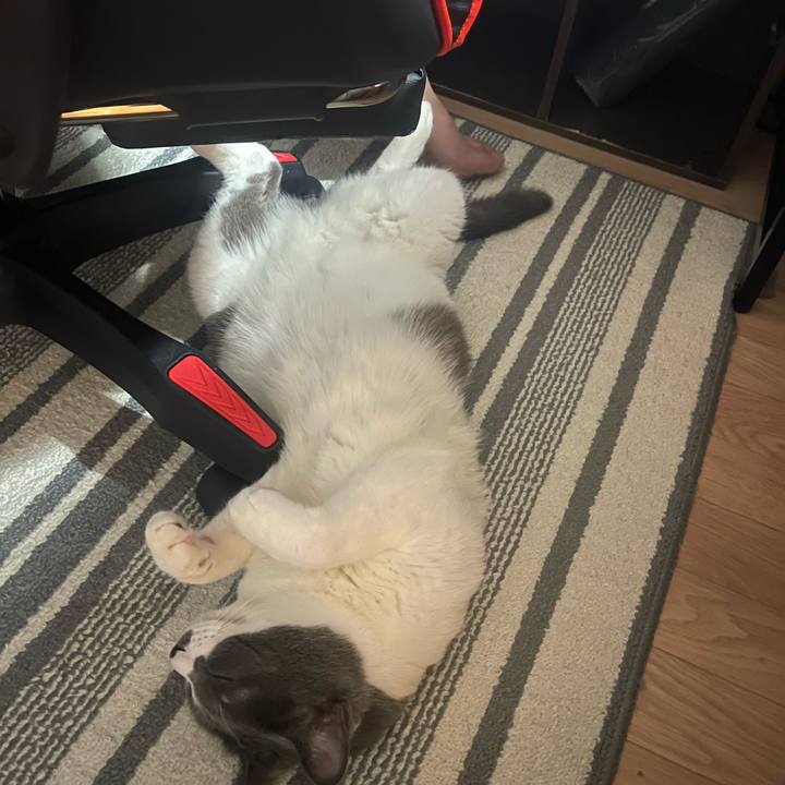 767d6673 01f8 42b5 b278 b7512ccbbe7c 1755137200697