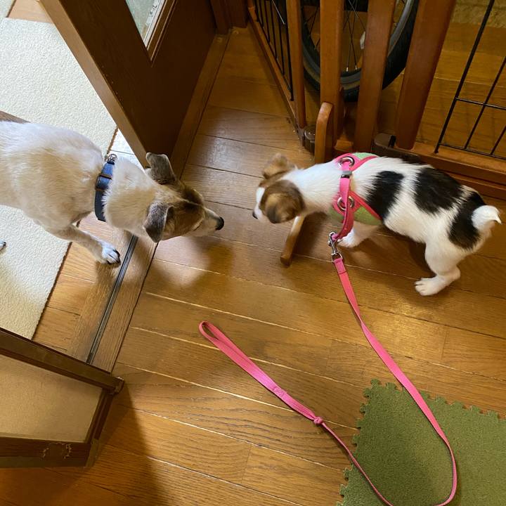 767db2b0 da9a 4a50 875c c324b49c43ec 1611443315052