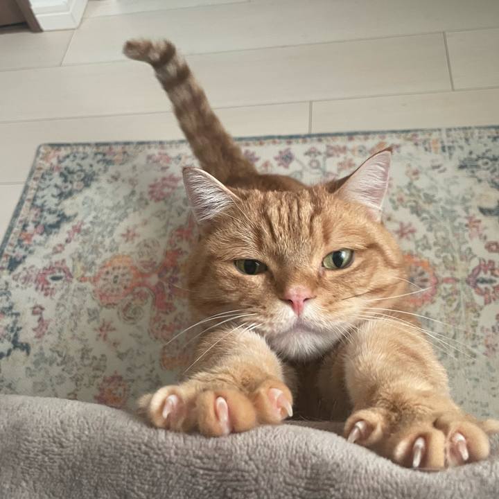 767dda34 8dcc 4312 9db9 f354fddbfce8 1769820148693