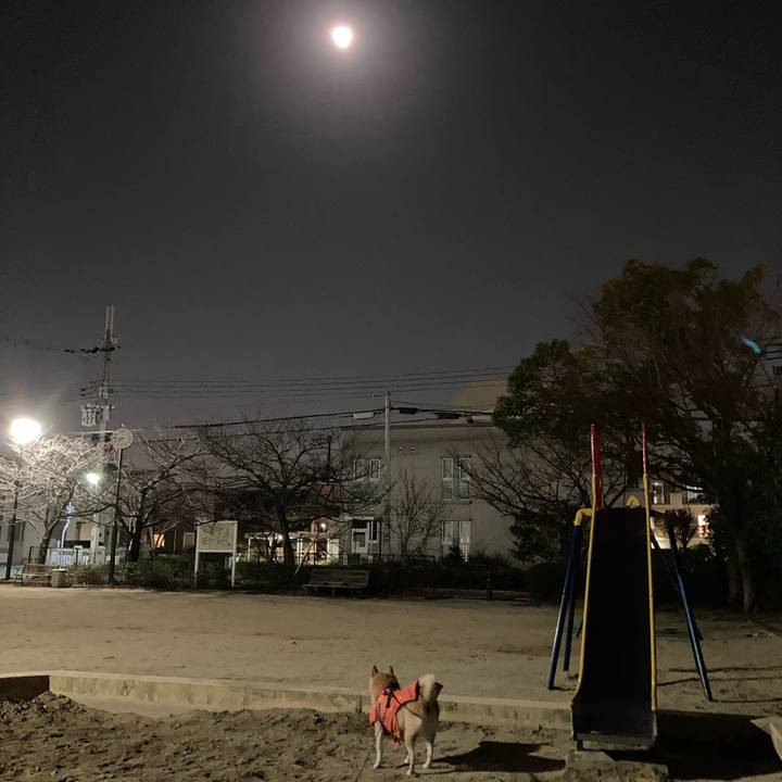 767dee79 8f29 45ed beed a14c469f4cda 1611834655702