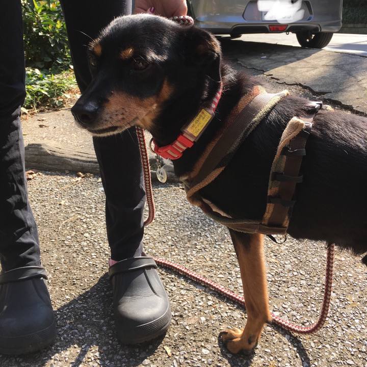 767e131b bfe1 4311 a226 aef4e9ce8dfd 1539837921459