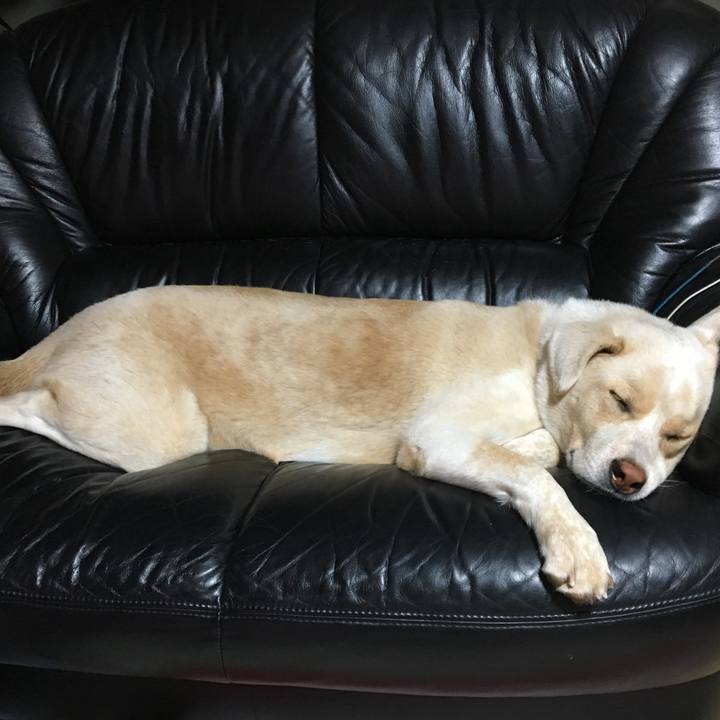 767e427b 04aa 4b3a a7d3 1d566d140d7d 1508947048644