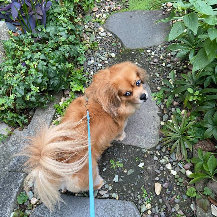 767e4c0f c5a4 4848 9b16 69091e0a183e 1602456549723