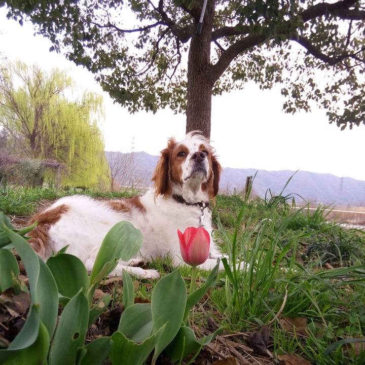 767e846d e409 4880 84e7 e33dab5336dc 1521442892082