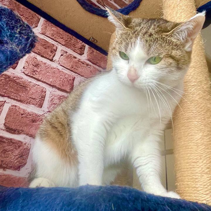 767e99ee d137 4ec3 97e7 c7fc2c0ded46 1631492062430