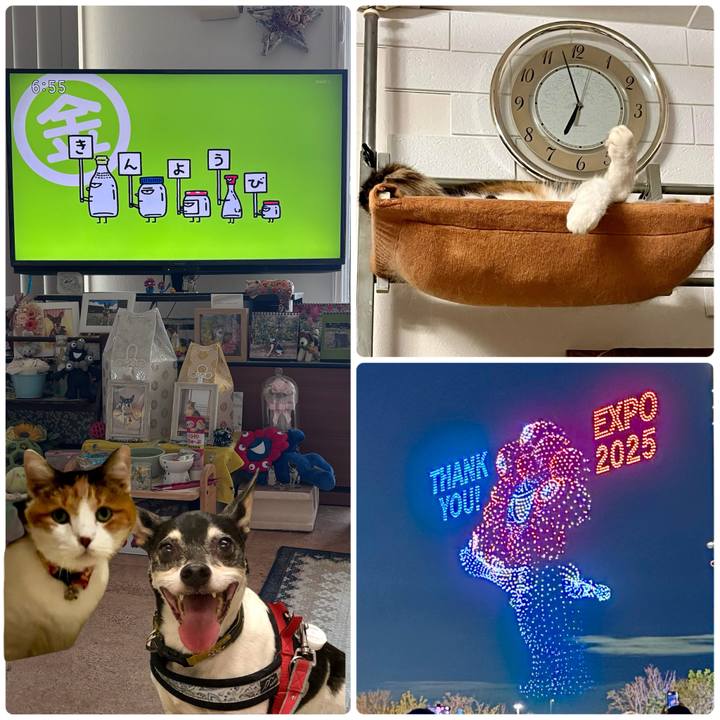 767eddd8 d108 4527 a6af db662770eaec 1760652354483