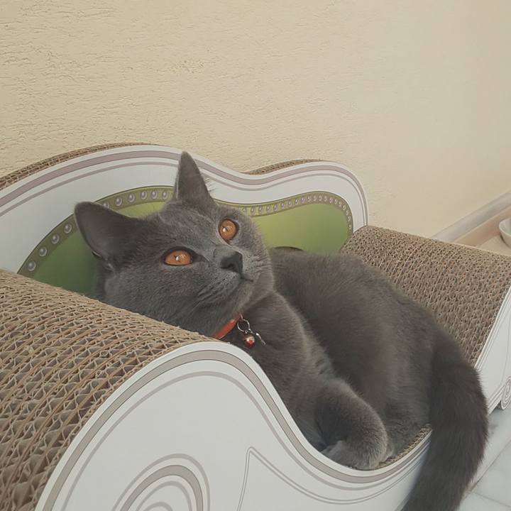 767ee877 64f4 4a18 b696 4cea653cc374 1539564769333