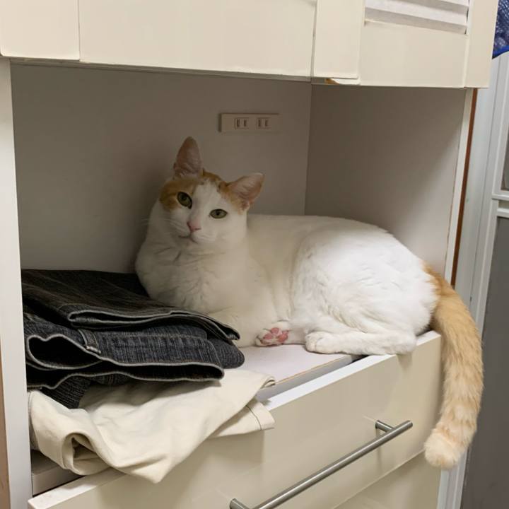 767f37fa 4f3e 4883 8d7e f361101be727 1629543051043