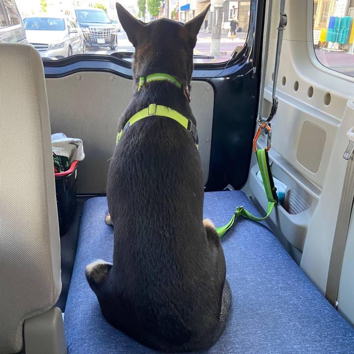 767f99eb 6571 4bf8 8ec9 8c2398d268cb 1633518536251