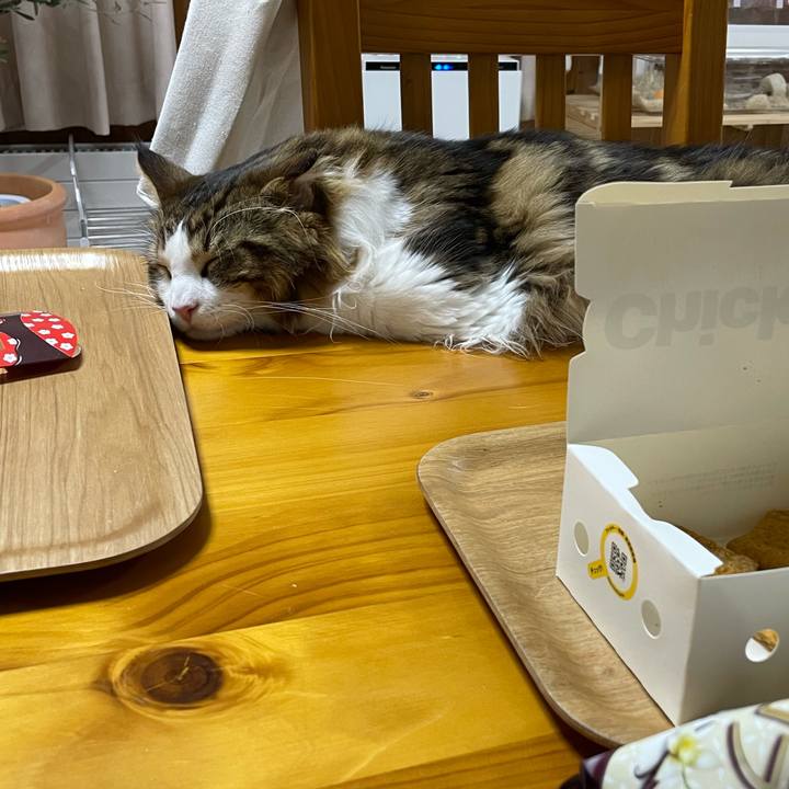 767fdb07 7221 4770 864f 7b380abe9c4c 1651145961103