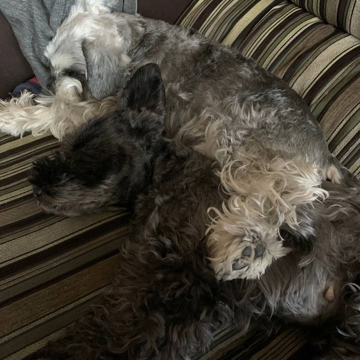 767fe0dd 71b9 430b 9162 ee07d5793146 1604121565436