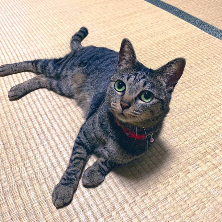 76802a63 0b0f 4f32 9a24 9485a977de28 1558742734538