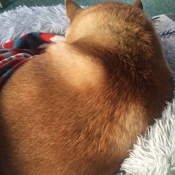 768076b6 d65b 434c bbdc 1d4b20310cfd 1641513765098