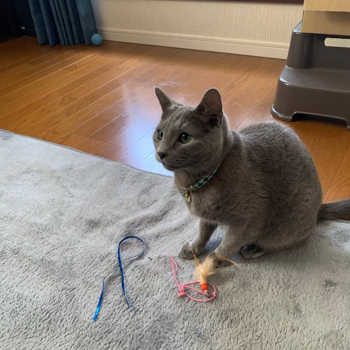 7680970d c0fd 4267 a1b2 cb3c2402ca74 1651488861339