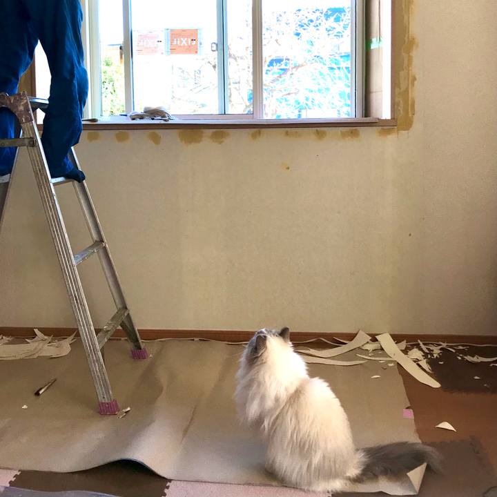 7680ad2d e306 48b6 aefd b95fc1f655cc 1606733861079