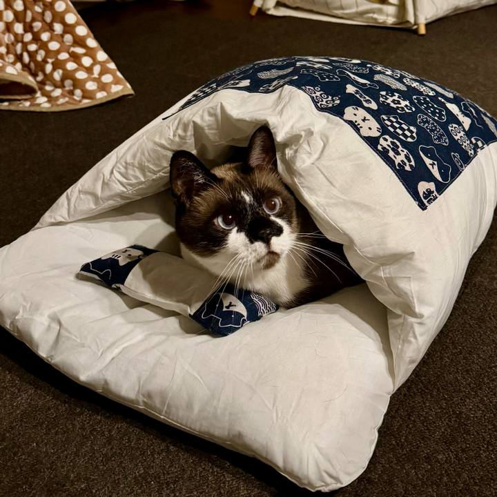 7680b5f6 dc2a 4d74 a38d 6026774304ab 1739908879799