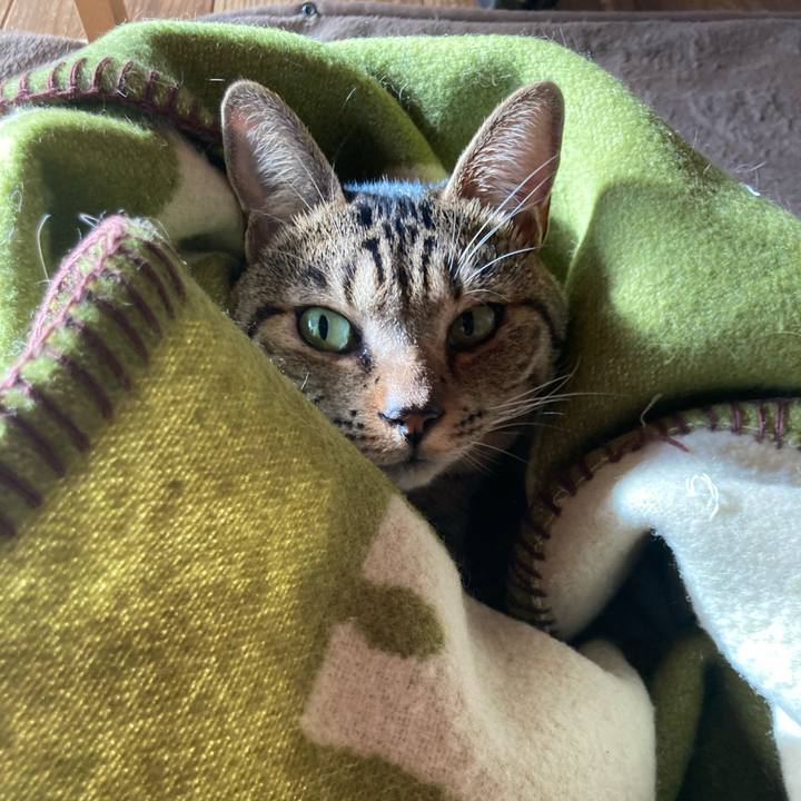 76810282 8a6f 4b61 b25f 19dd4763aa04 1700745545269