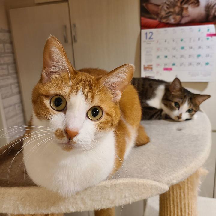 7681030d 0820 4a5e 973e e508852740ed 1702132422474