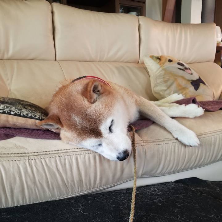 76812217 2841 4ea3 9349 76888ae22861 1725076061246