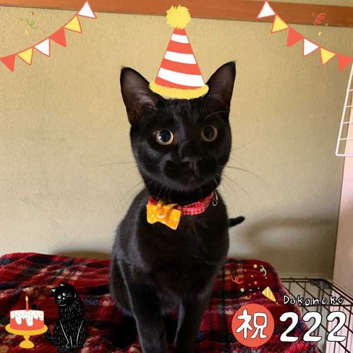 76813942 b356 4809 8207 158b497a427b 1645514630331