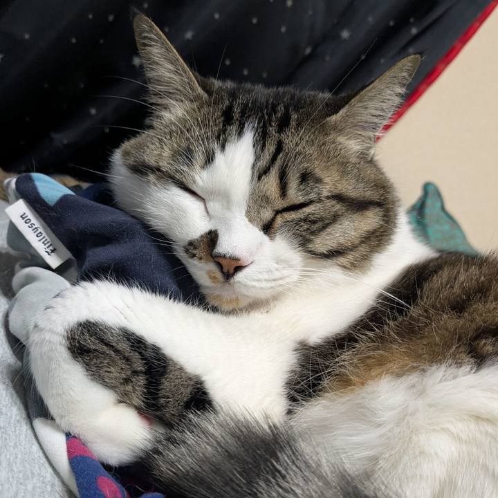 7681799f cee7 48da 9633 32df7ffea67d 1743329467422